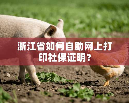 浙江省如何自助网上打印社保证明？