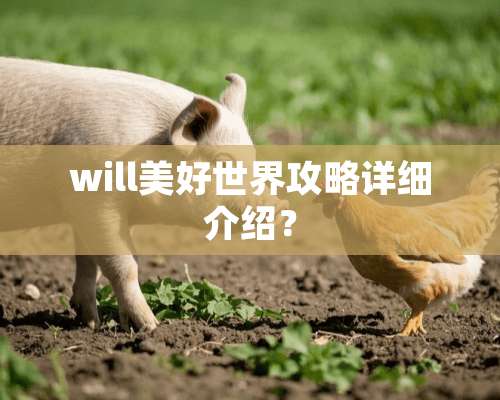 will美好世界攻略详细介绍？