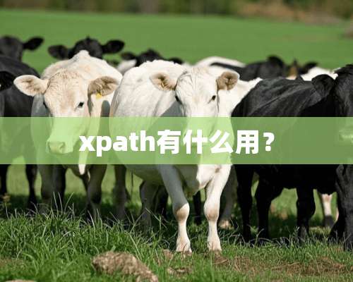 xpath有什么用？