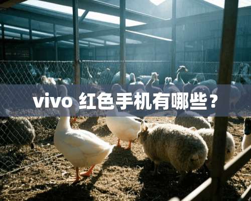 vivo 红色手机有哪些？