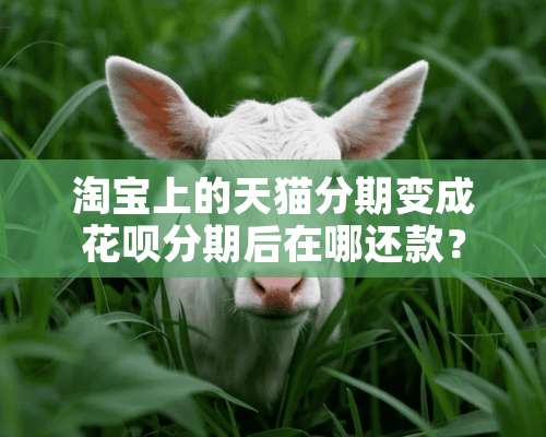 淘宝上的天猫分期变成花呗分期后在哪还款？