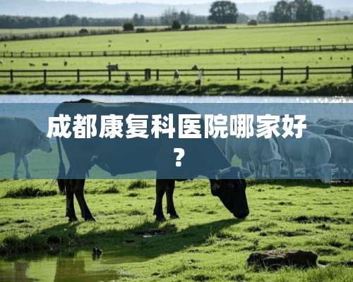 成都康复科医院哪家好？