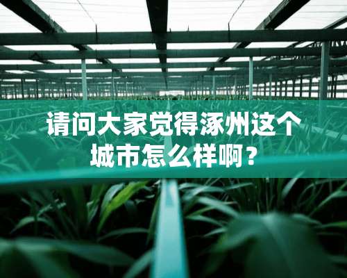 请问大家觉得涿州这个城市怎么样啊？