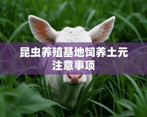 昆虫养殖基地饲养土元注意事项