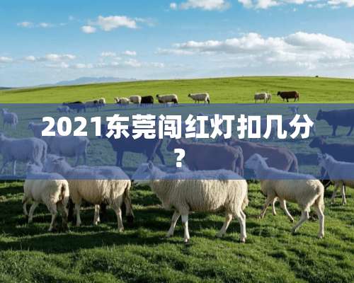 2021东莞闯红灯扣几分？