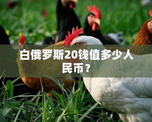 白俄罗斯20钱值多少人民币？