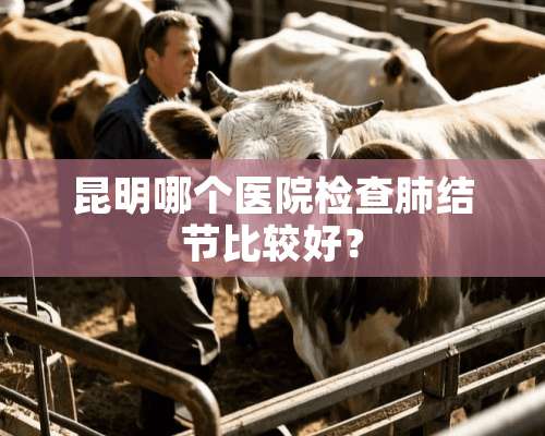 昆明哪个医院检查肺结节比较好？