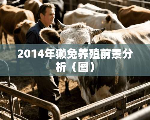 2014年獭兔养殖前景分析（图）