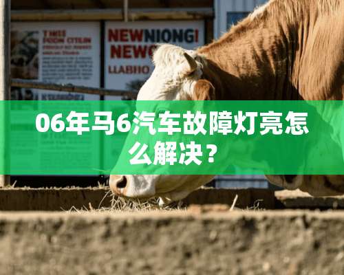 06年马6汽车故障灯亮怎么解决？