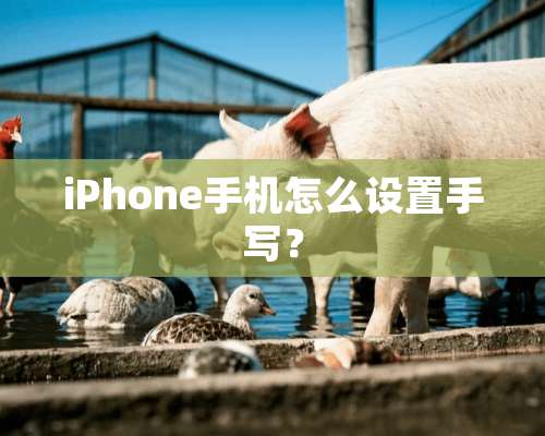 iPhone手机怎么设置手写？