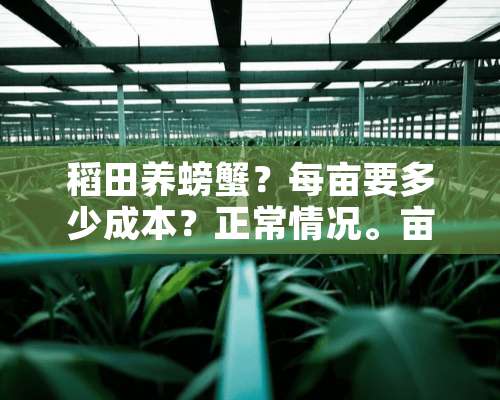 稻田养螃蟹？每亩要多少成本？正常情况。亩产多少？