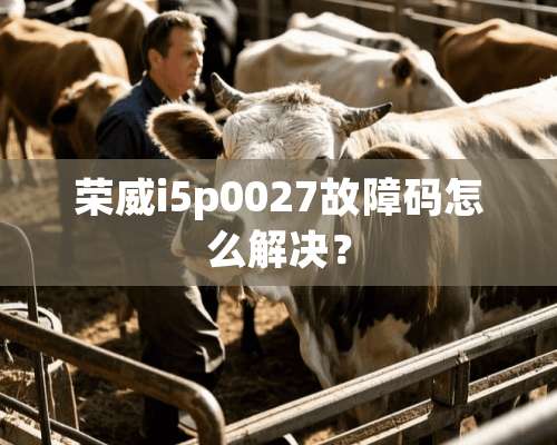 荣威i5p0027故障码怎么解决？