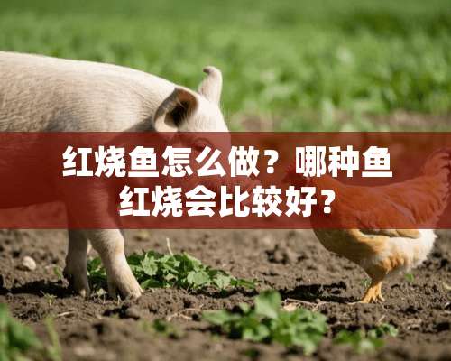 红烧鱼怎么做？哪种鱼红烧会比较好？