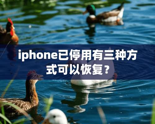 iphone已停用有三种方式可以恢复？