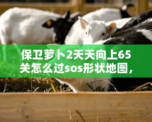 保卫萝卜2天天向上65关怎么过sos形状地图，机器人怪兽s？