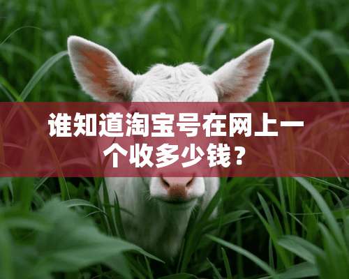 谁知道淘宝号在网上一个收多少钱？