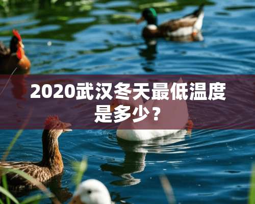 2020武汉冬天最低温度是多少？