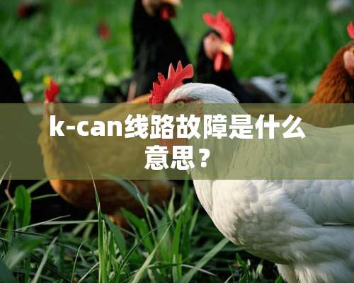 k-can线路故障是什么意思？