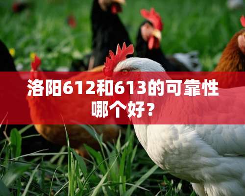 洛阳612和613的可靠性哪个好？