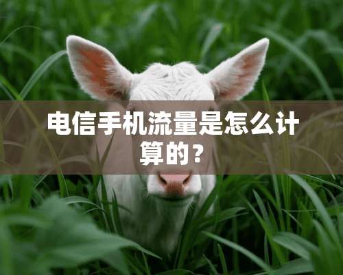 电信手机流量是怎么计算的？