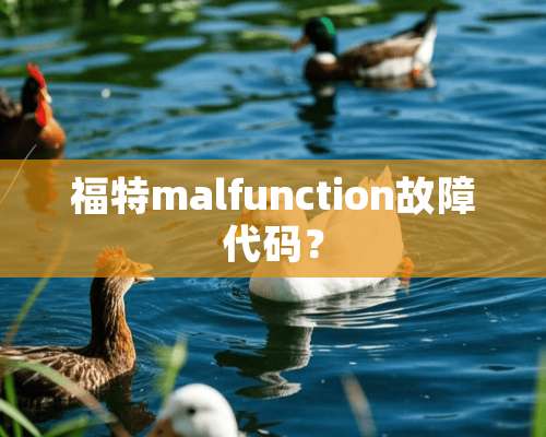 福特malfunction故障代码？