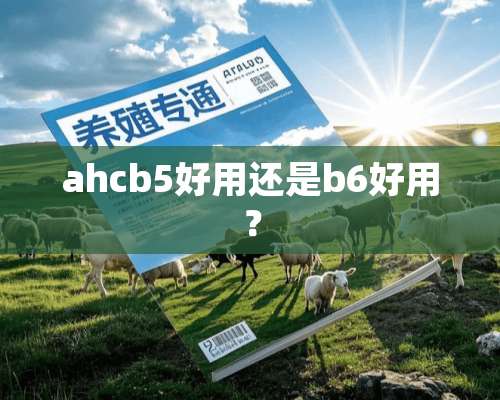 ahcb5好用还是b6好用？