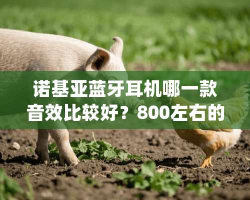 诺基亚蓝牙耳机哪一款音效比较好？800左右的，介绍下，3q~~？