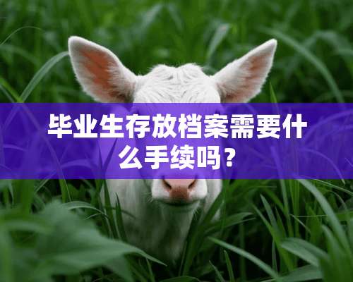 毕业生存放档案需要什么手续吗？