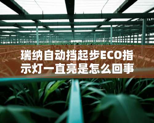 瑞纳自动挡起步ECO指示灯一直亮是怎么回事？