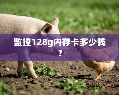 监控128g内存卡多少钱？