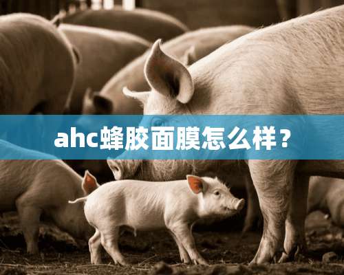 ahc蜂胶面膜怎么样？