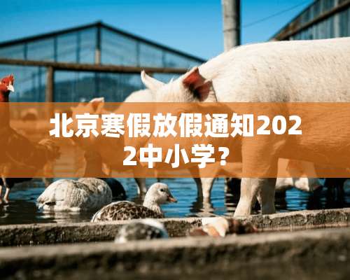 北京寒假放假通知2022中小学？