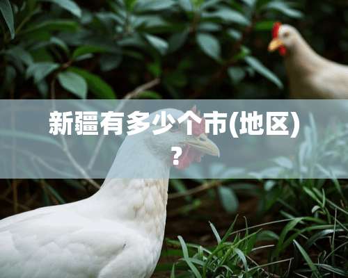 新疆有多少个市(地区)？