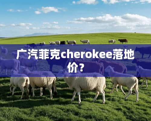 广汽菲克cherokee落地价？