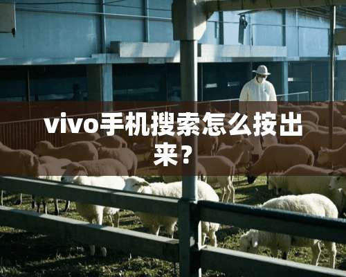 vivo手机搜索怎么按出来？