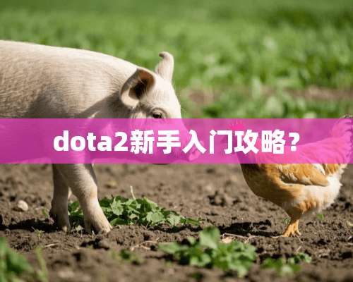 dota2新手入门攻略？