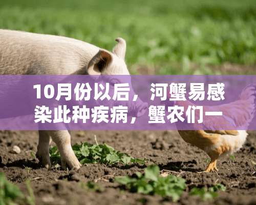 10月份以后，河蟹易感染此种疾病，蟹农们一定要提高警惕！