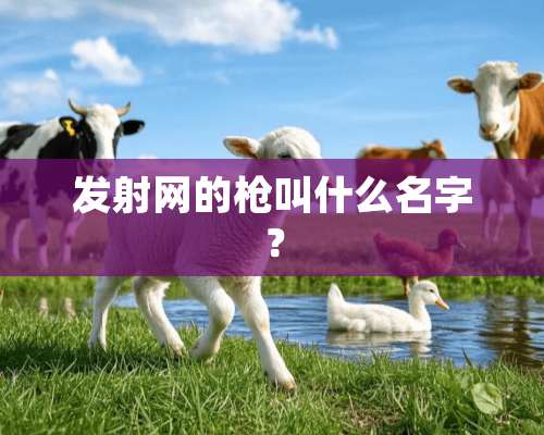 发射网的*叫什么名字？