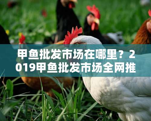 甲鱼批发市场在哪里？2019甲鱼批发市场全网推荐【精选推荐】