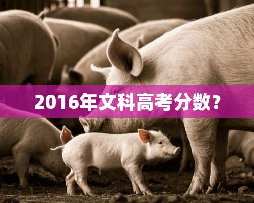 2016年文科高考分数？