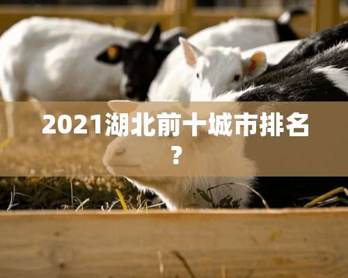 2021湖北前十城市排名？