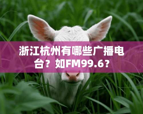 浙江杭州有哪些广播电台？如FM99.6？