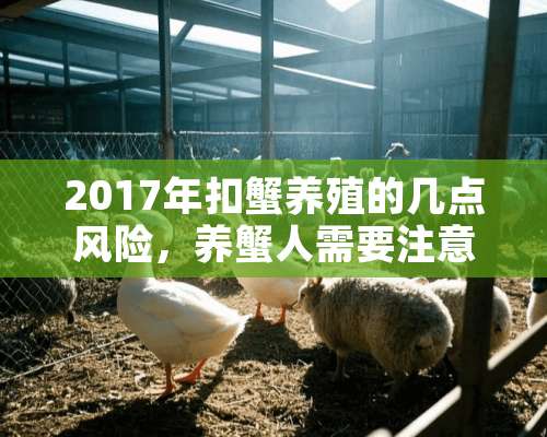 2017年扣蟹养殖的几点风险，养蟹人需要注意