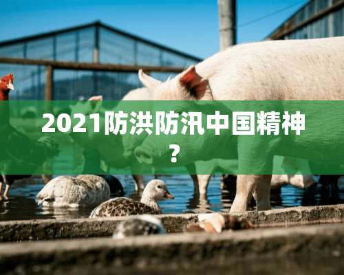 2021防洪防汛中国精神？