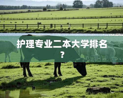 护理专业二本大学排名？