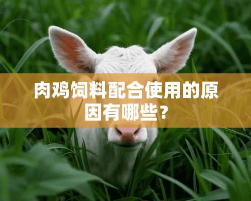 肉鸡饲料配合使用的原因有哪些？