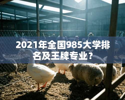 2021年全国985大学排名及王牌专业？