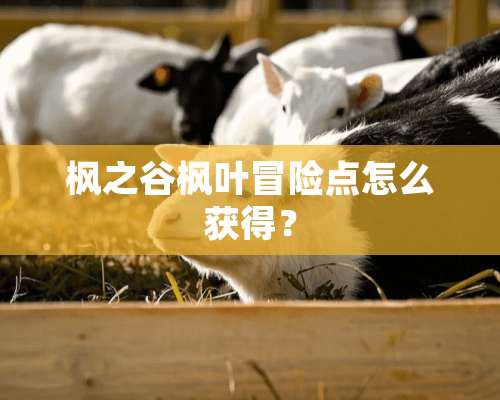 枫之谷枫叶冒险点怎么获得？