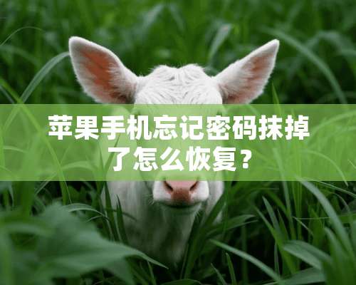 苹果手机忘记密码抹掉了怎么恢复？