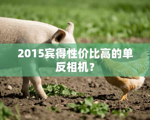 2015宾得性价比高的单反相机？